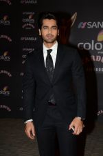 Arjan Bajwa at the red carpet of Stardust awards on 21st Dec 2015